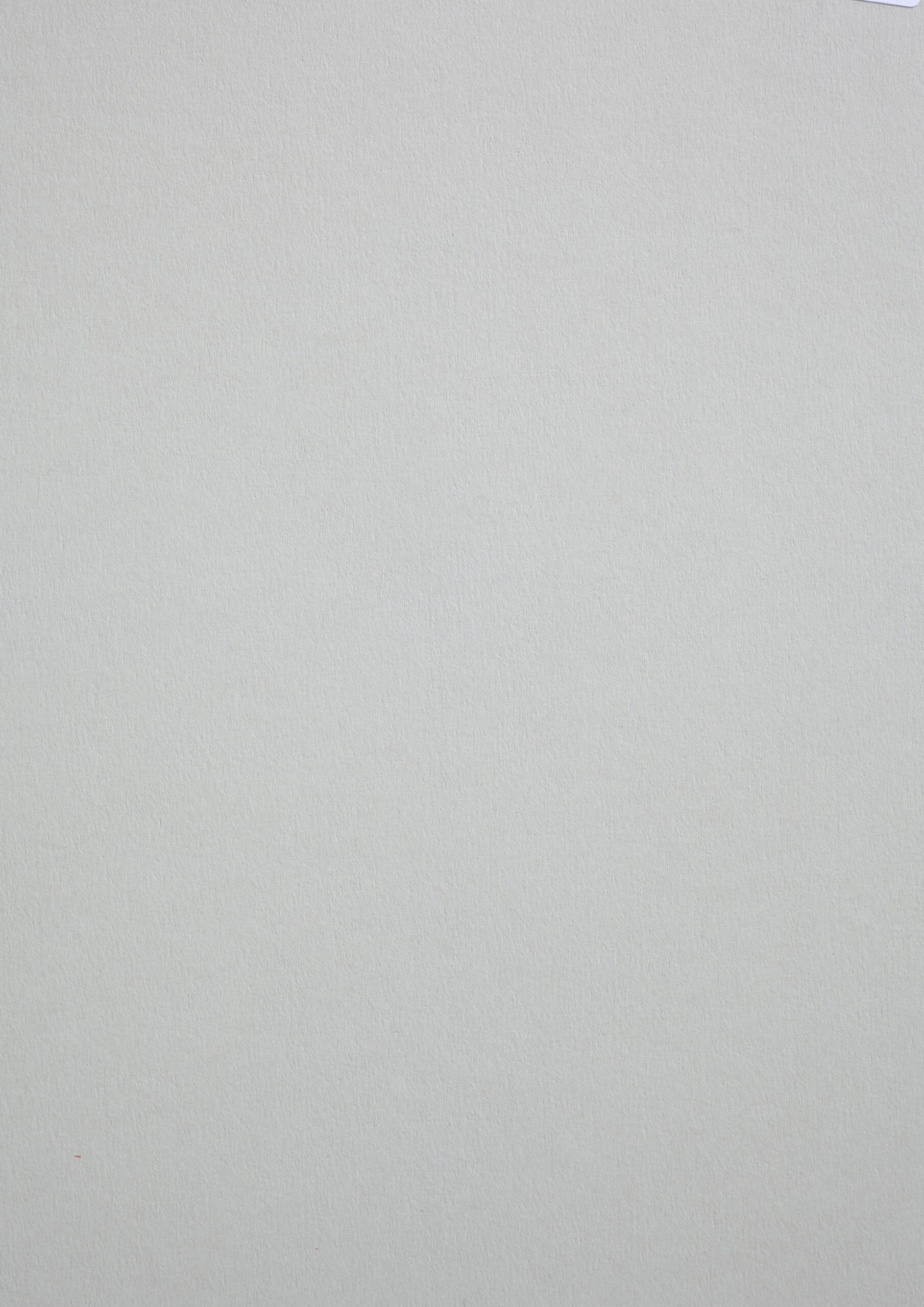 290 gr fedrigoni sirio color perla 70x100