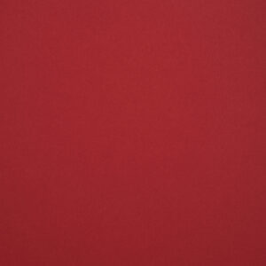 290 gr fedrigoni sirio color lampone 70x100