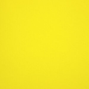 290 gr fedrigoni sirio color limone 70x100