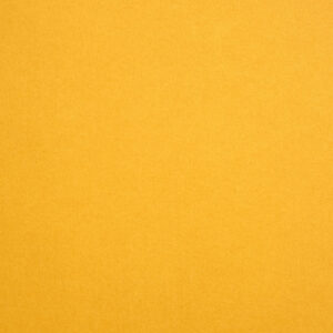 290 gr fedrigoni sirio color gialloro 70x100