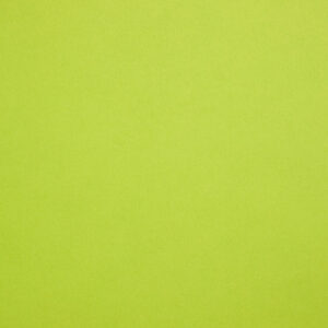 290 gr fedrigoni sirio color lime 70x100