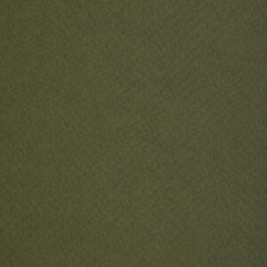 140 gr fedrigoni tintoretto ceylon wasabi 72x101