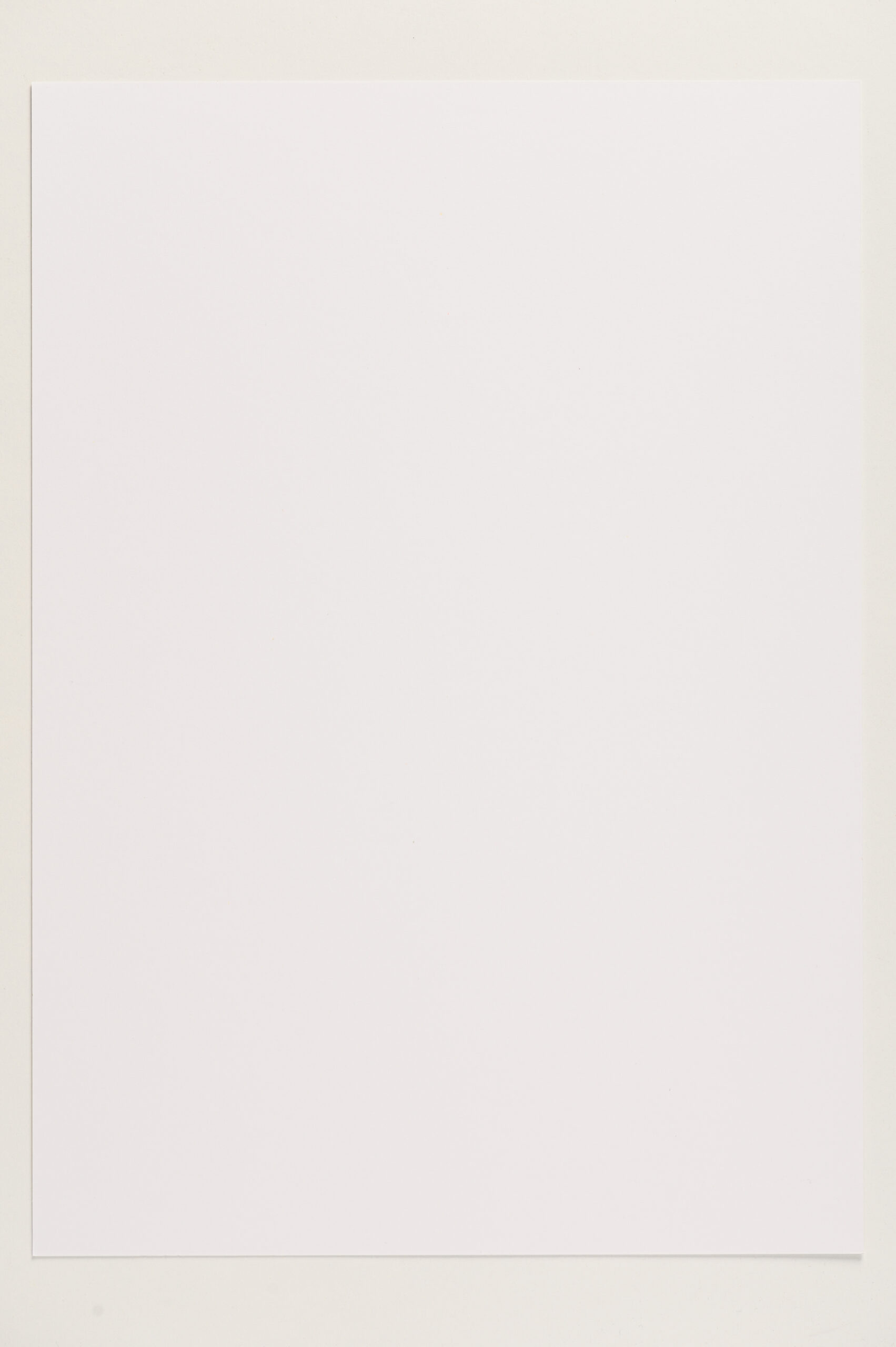 285 gr fedrigoni woodstock bianco 70x100