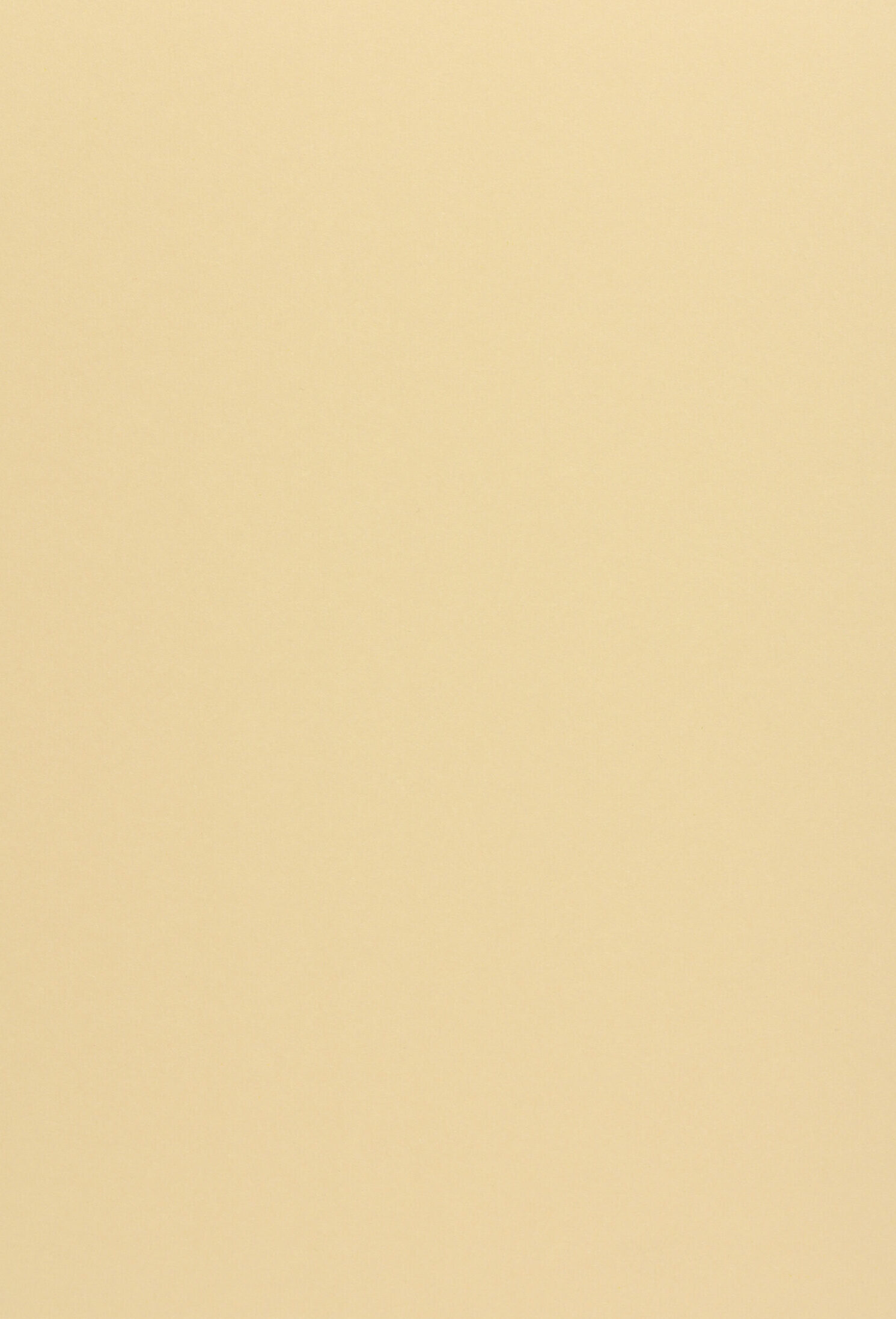 285 gr fedrigoni woodstock camoscio 70x100