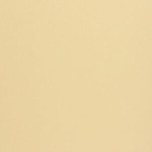 140 gr fedrigoni woodstock camoscio 70x100