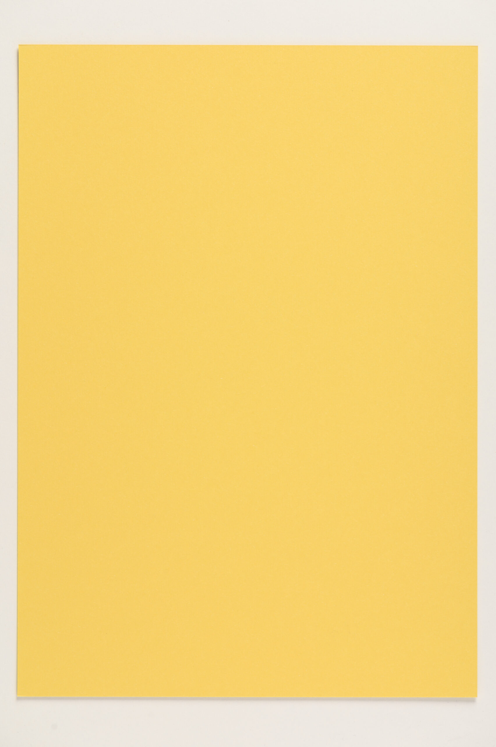 285 gr fedrigoni woodstock giallo 70x100